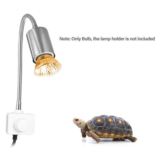 Camping Lights |   25W Halogen Heat Lamp Silver1 Camping Lights Camping Lights