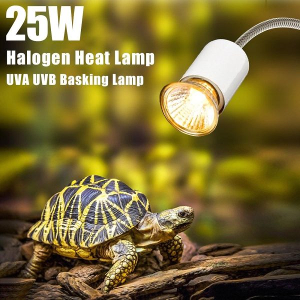 Camping Lights |   25W Halogen Heat Lamp Silver1 Camping Lights Camping Lights