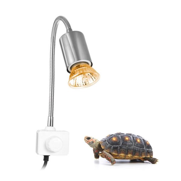 Camping Lights |   25W Halogen Heat Lamp Silver1 Camping Lights Camping Lights