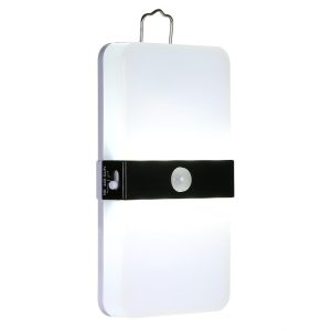 Night Lights |   Battery Operated LED Motion Sensor White LED Lighting Night Lights