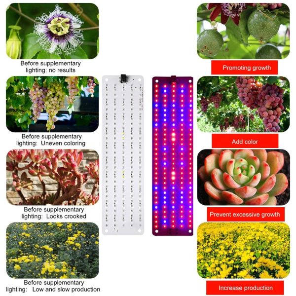 Other |   Full Spectrum LED Plant Growth Light Board Supplement Light for Seedlings Veg Bloom Succulents Indoor Plants Grow Light Panel LED Lighting Other