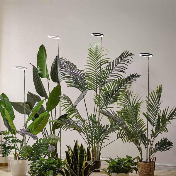 Other |   Plant Grow Light Floor Lamp Floor Model Full Spectrum Sunlight Large Potted Plant Fill Light 3/9/12 Hours Timing White LED Lighting Other