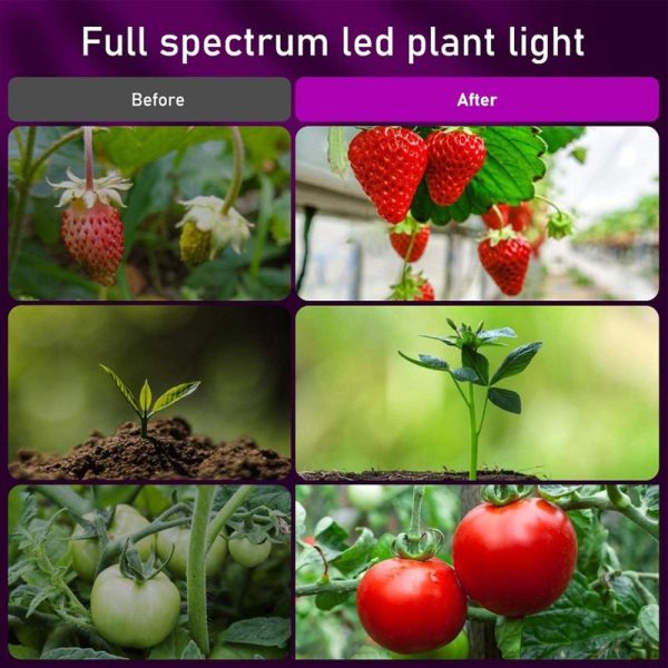 Other |   Plant Grow Light Floor Lamp Floor Model Full Spectrum Sunlight Large Potted Plant Fill Light 3/9/12 Hours Timing White LED Lighting Other