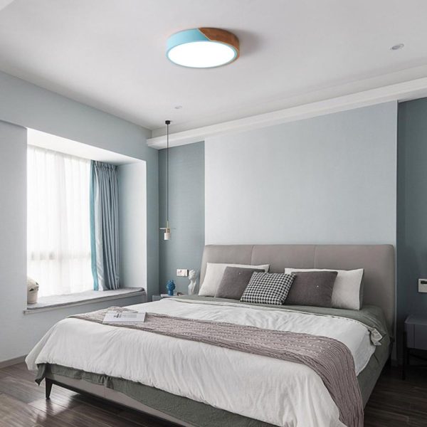 RGB Controlers |   AC220-240V 24W  LED Round Circular Lamp Ceiling Light for Aisle Stair Hallway Balcony Living Room Bedroom(White light) Blue LED Lighting Blue