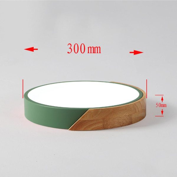 RGB Controlers |   AC220-240V 24W  LED Round Circular Lamp Ceiling Light for Aisle Stair Hallway Balcony Living Room Bedroom(White light) Green LED Lighting Green