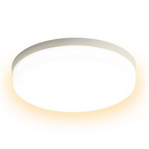 RGB Controlers |   LEDs Ceiling Light Flush Mounting 36W Round Ceiling Lamp for Kitchen Bedroom Hallway (2800-3200K Warm Light) Warm White LED Lighting RGB Controlers