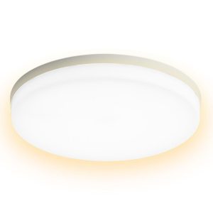 RGB Controlers |   LEDs Ceiling Light Flush Mounting 48W Round Ceiling Lamp for Kitchen Bedroom Hallway (2800-3200K Warm Light) Warm White LED Lighting RGB Controlers