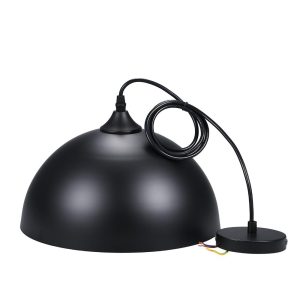 RGB Controlers |   Metal Pendants Light Black LED Lighting Black