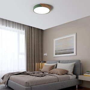 RGB Controlers |   AC220-240V 24W  LED Round Circular Lamp Ceiling Light for Aisle Stair Hallway Balcony Living Room Bedroom(White Light+Warm White Light+Neutral Light+Remote Control) Green LED Lighting Green